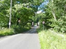 Road leading to Whorlton Suspension Bridge, Whorlton, Teesdale July 2016